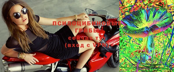 хмурый Верхний Тагил