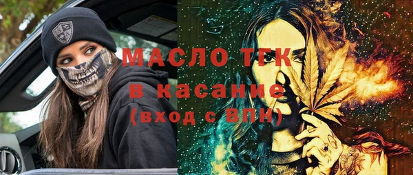 МДПВ Бородино