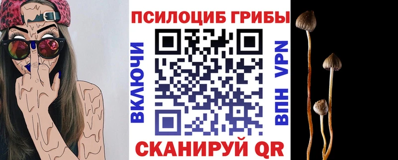 Галлюциногенные грибы Psilocybe  Касли 